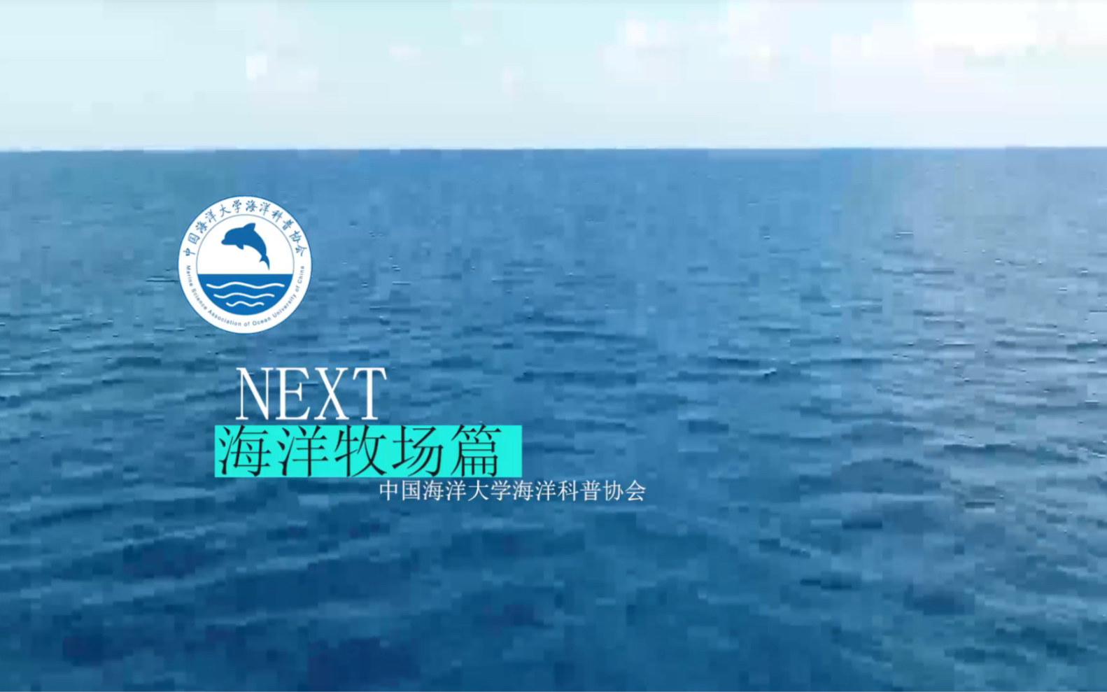 海洋牧场——新时代的“蔚蓝粮仓”哔哩哔哩bilibili