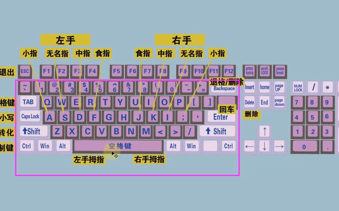 零基础快速学拼音学五笔打字教程,键盘打字快速入门
