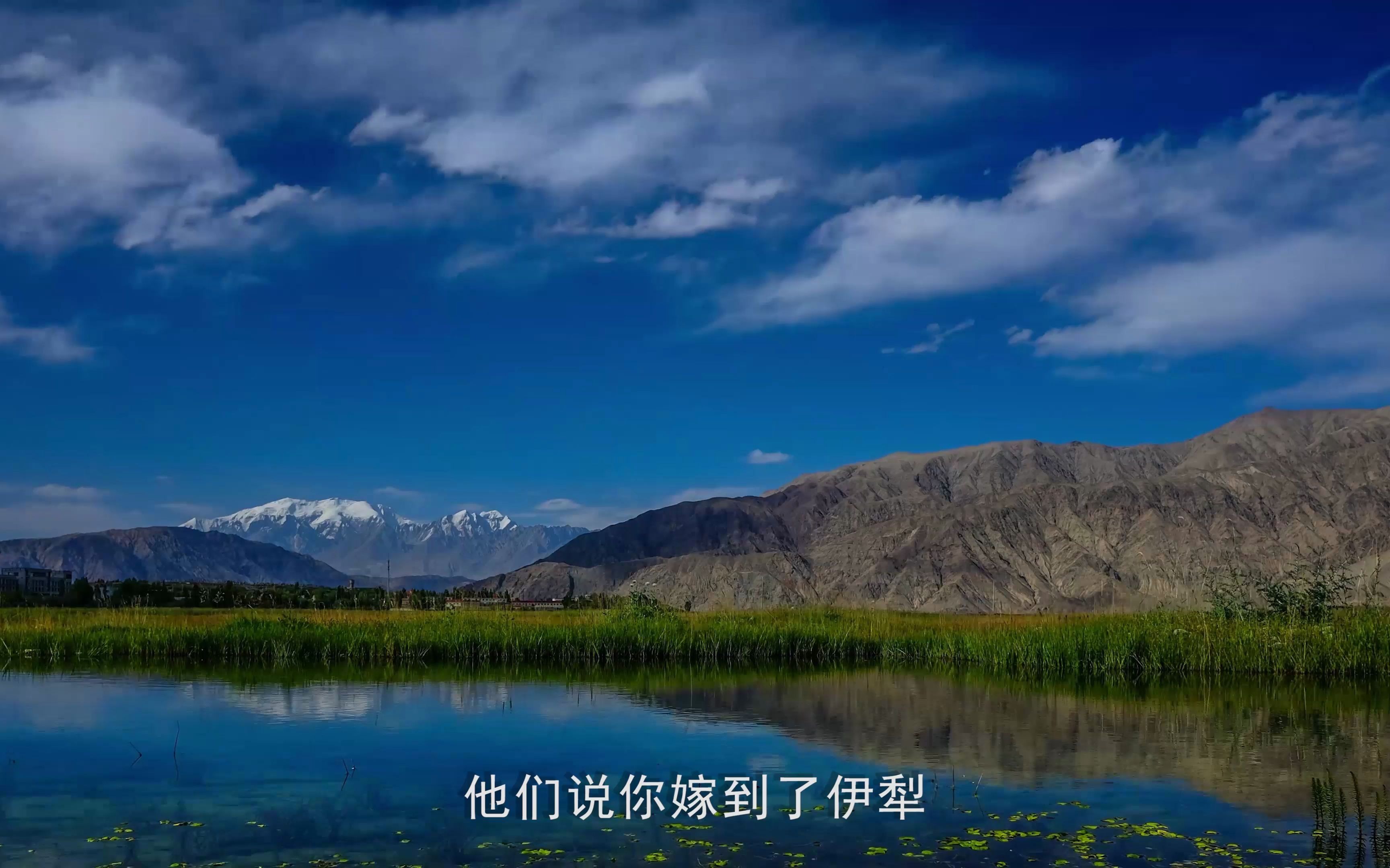 可可托海的牧羊人王棋演唱