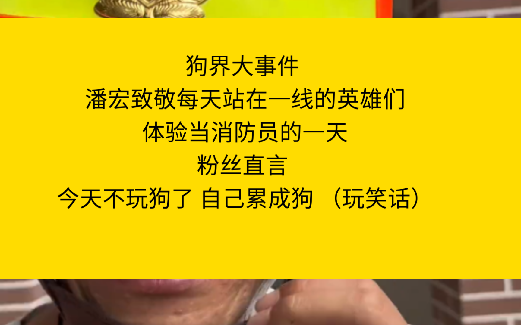 狗界大事件 潘宏致敬每天站在一线的英雄们体验当消防员的一天粉丝直言 今天不玩狗了 自己累成狗 (玩笑话)哔哩哔哩bilibili