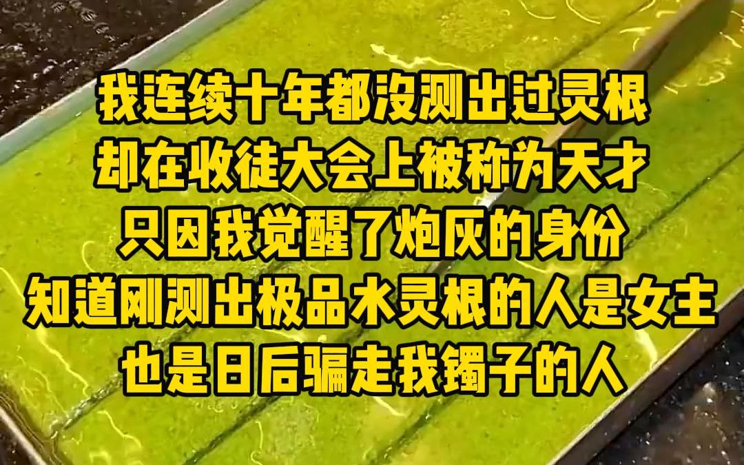 《炮灰天才》我连续十年都没有测出过灵根,却在收徒大会上被称为天才,只因我觉醒了炮灰的身份哔哩哔哩bilibili