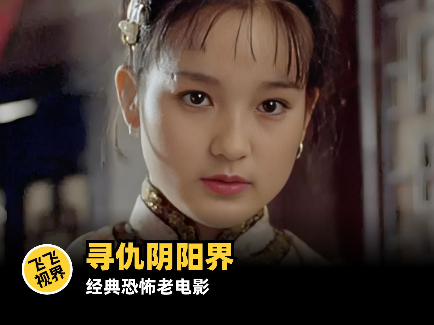 看一部少一部的经典恐怖片《寻仇阴阳界》