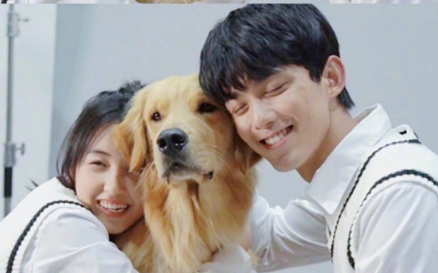 【电影宠爱】吴磊遇见张子枫 如何叫我不心动_哔哩哔哩_bilibili