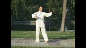 Tải video: 42式太极拳——转身摆莲（分解动作）