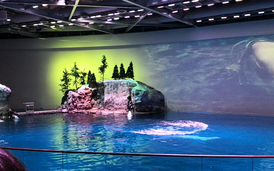 芝加哥谢德水族馆表演