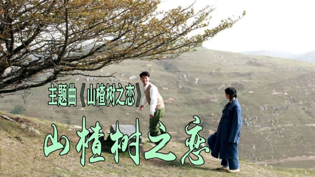 《山楂树之恋》,张艺谋导演山楂树之恋主题曲!哔哩哔哩bilibili