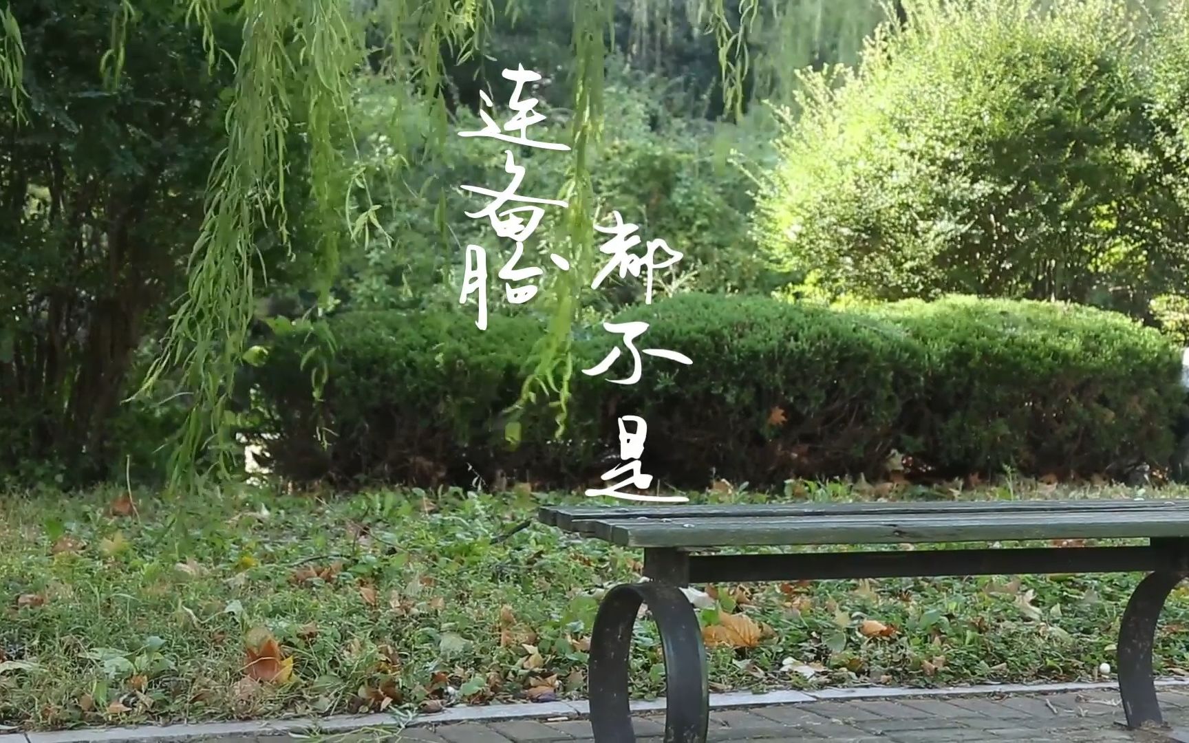 [图]《连备胎都不是》真人版MV