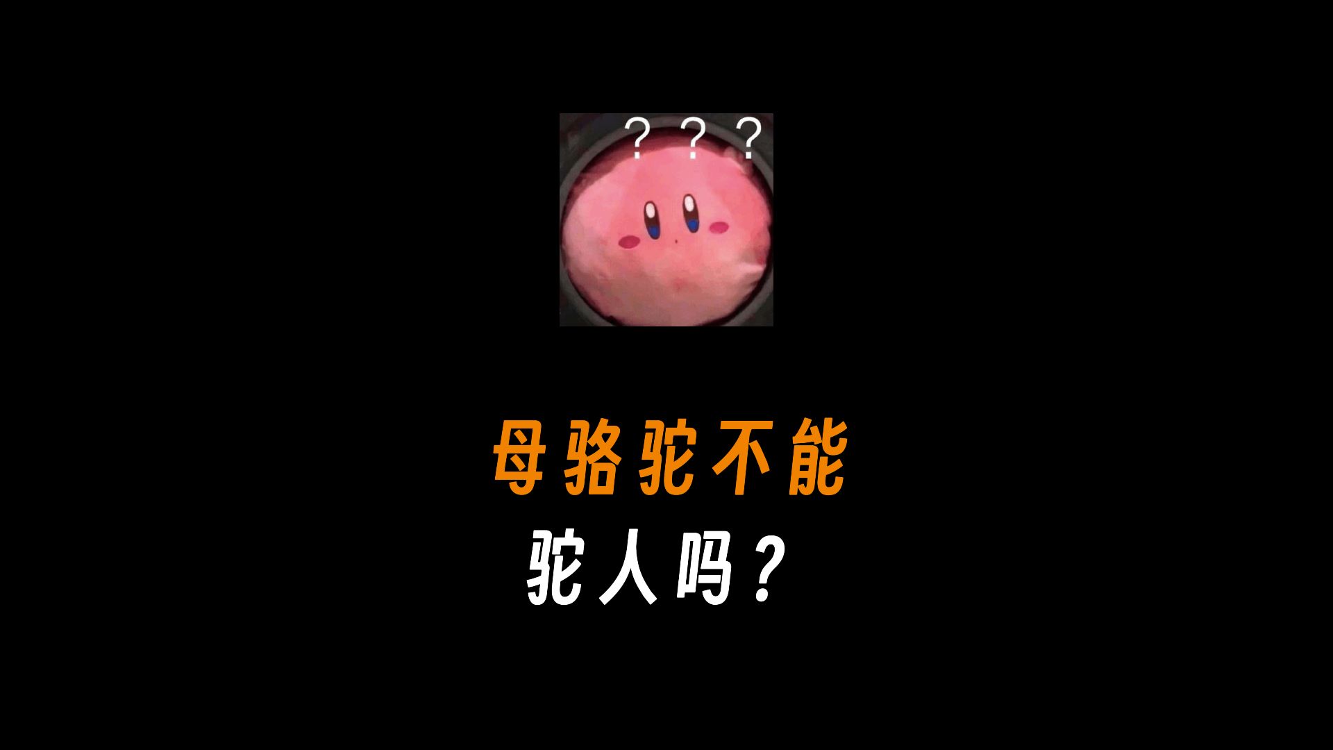 母骆驼不能驼人吗?哔哩哔哩bilibili