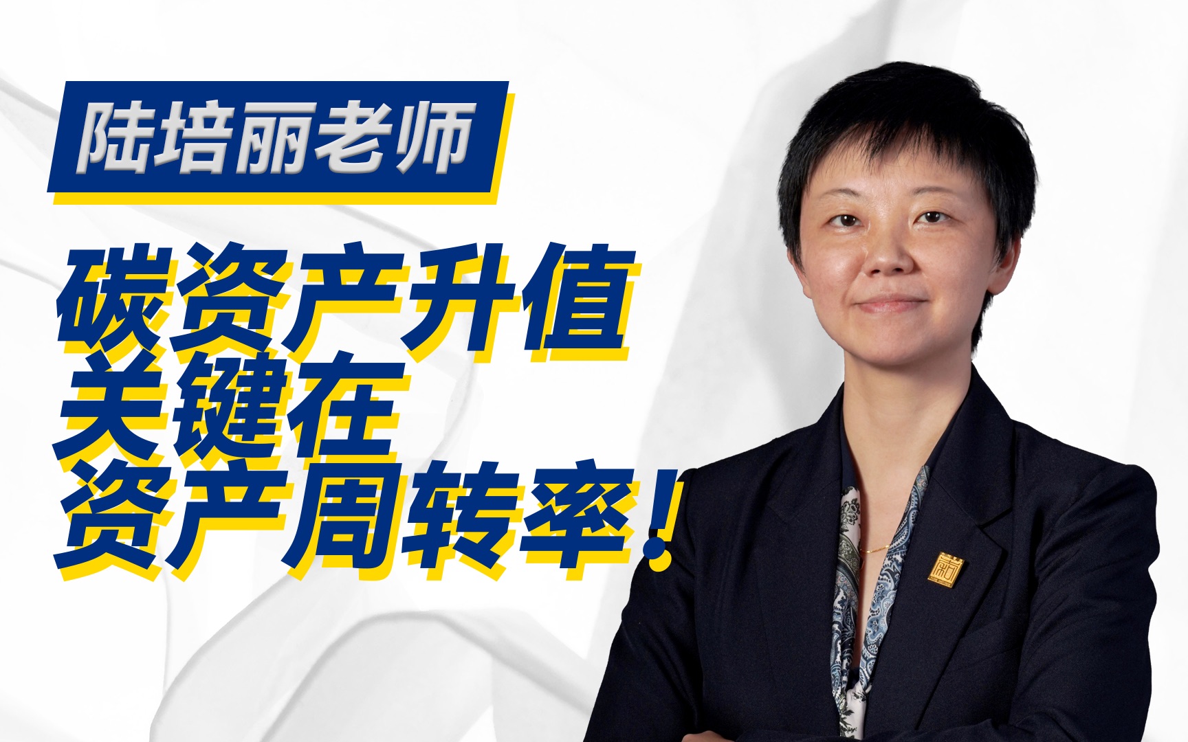 碳资产升值关键在资产周转率!