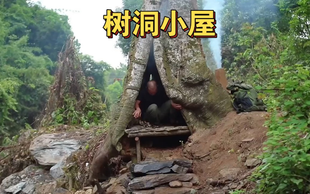 童话般的树洞小屋