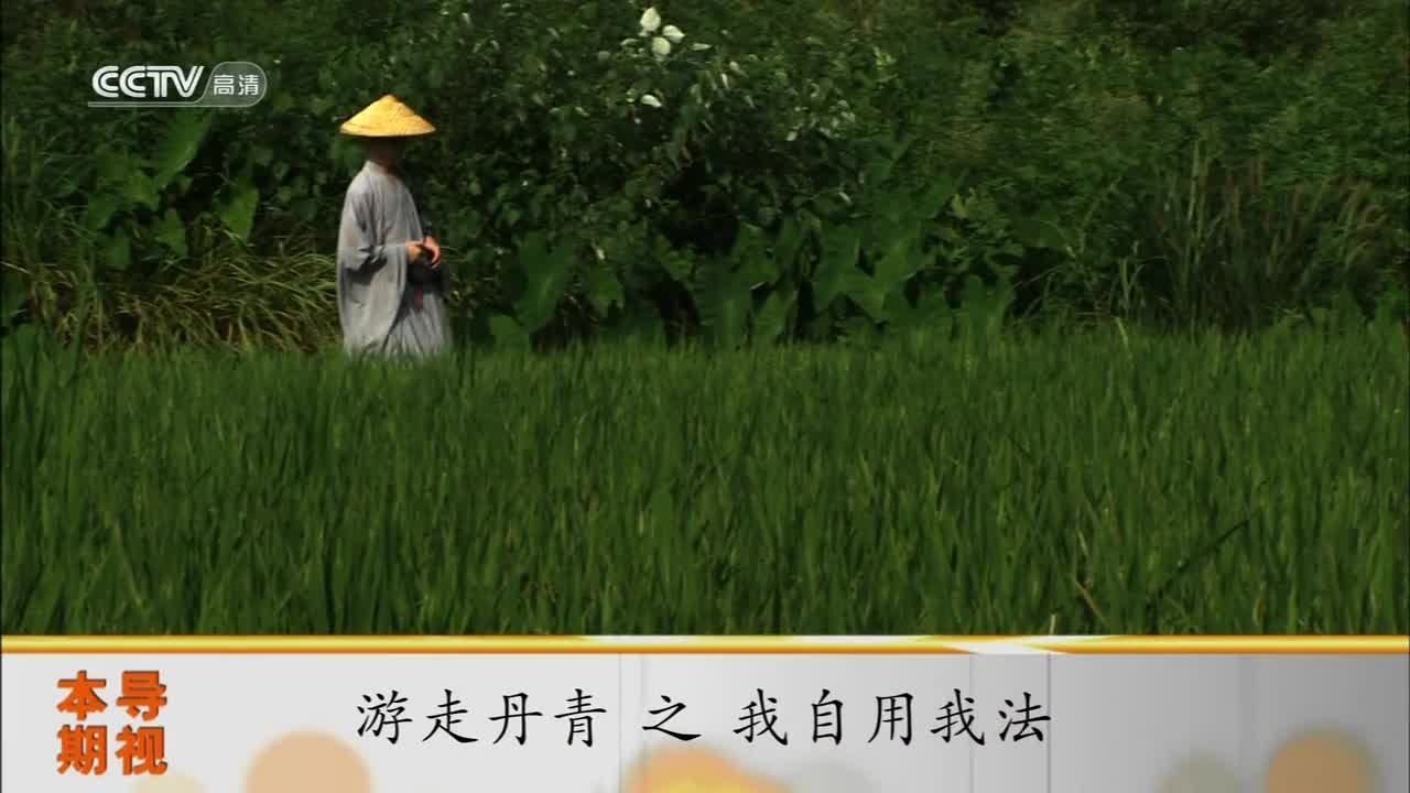 [图]游走丹青--我自用我法【石涛】