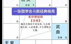 [图]紫微斗数实战学员教学《斗数经典格局》