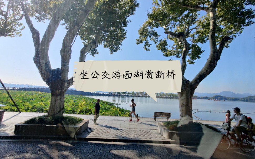 [图]杭州美景盖世无双，西湖岸奇花异草，四了季的芬芳。