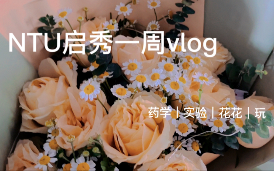 NTU启秀校区VLOG一周ꕠ•ᴥ•ꔥ“”哩哔哩bilibili