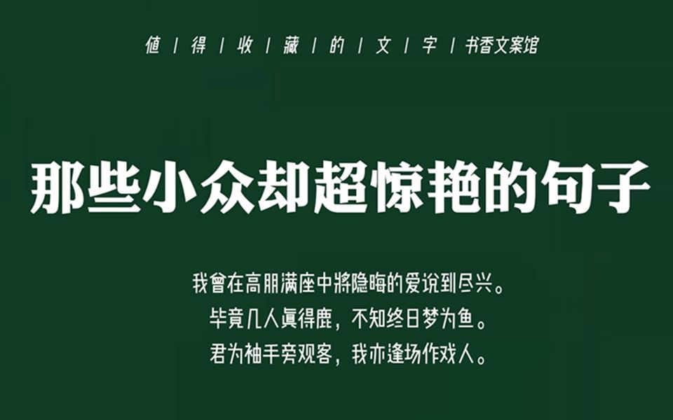 【文案】“把热爱的事情做成极致,那便成了价值.”| 那些小众却超惊艳的句子哔哩哔哩bilibili