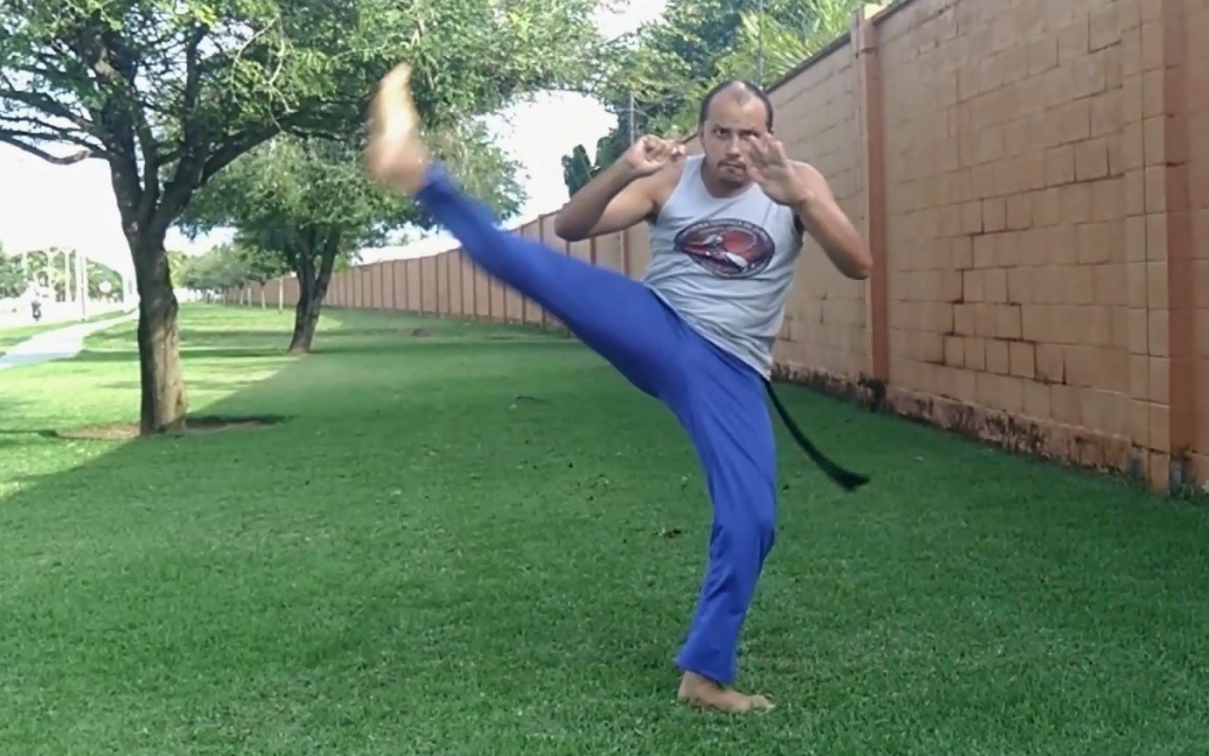 巴西战舞capoeira新手教学课程第15课armada腿法踢技视频英文字幕简介