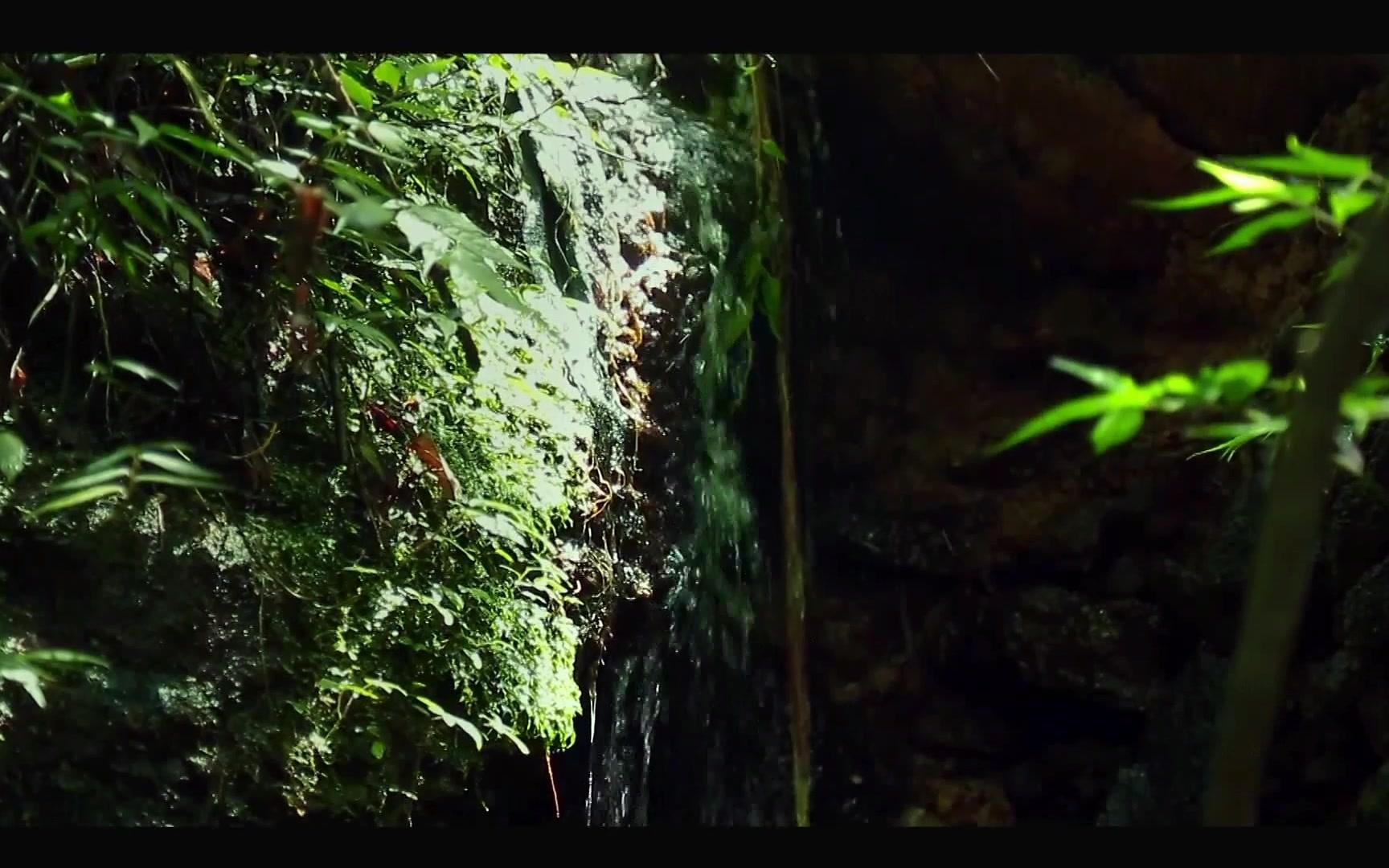 舌尖系列配音李立宏老师配音《舌尖上的三味好茶》,原声再现!哔哩哔哩bilibili