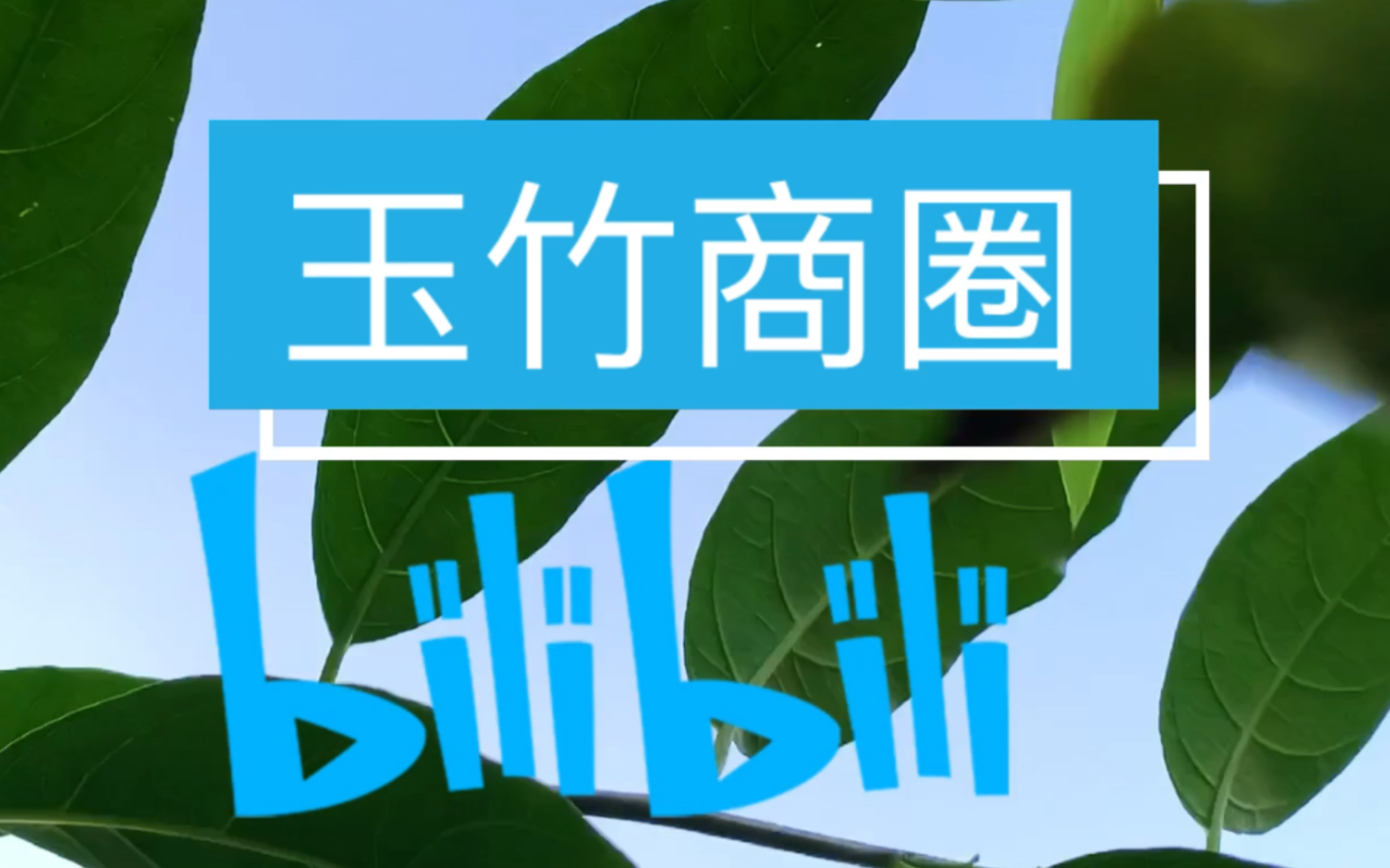 dji pocket 2 台灣 玉竹商圈