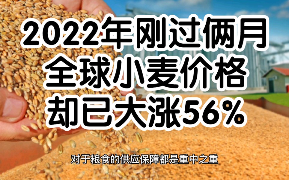 号外:2022年刚过去俩月,但全球小麦价格却已大涨56%,我国海关粮食进口审批时间或缩短哔哩哔哩bilibili