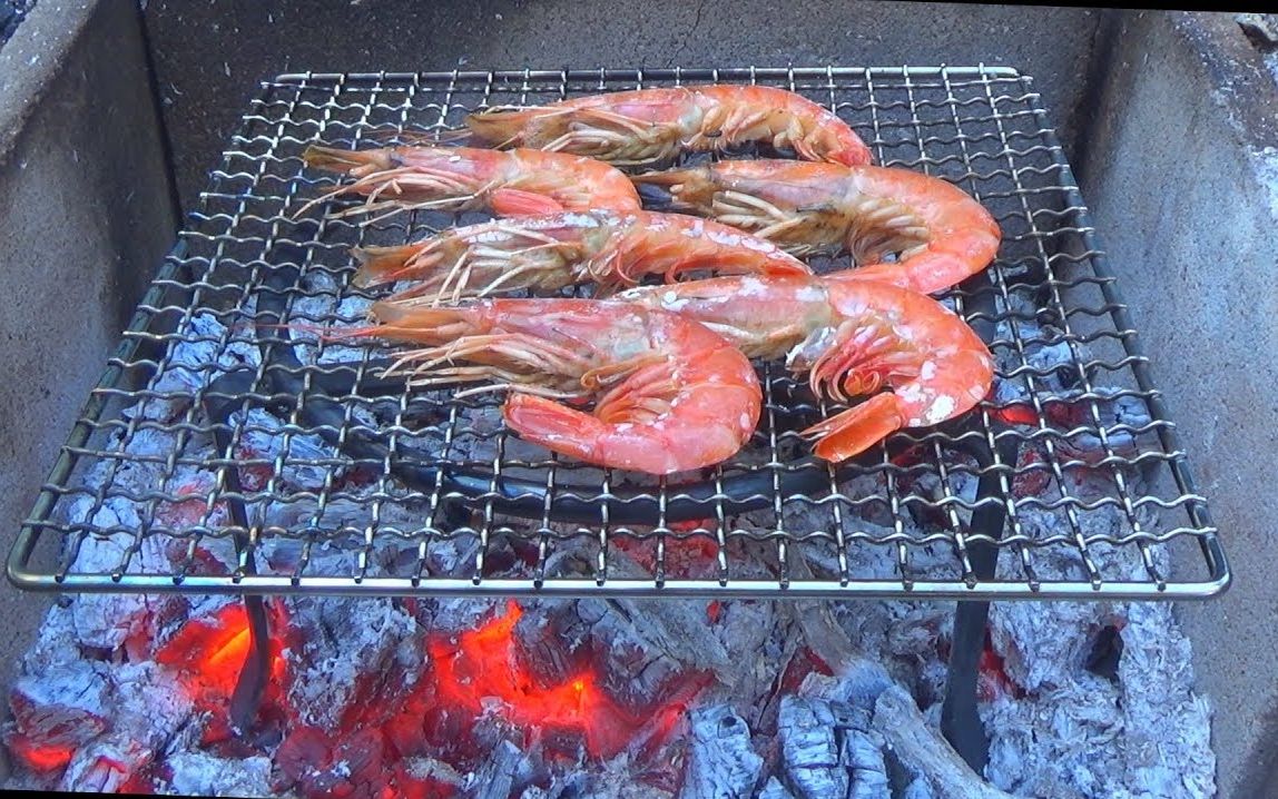 吃脆皮脆废虾,烤很多木炭!_哔哩哔哩_bilibili