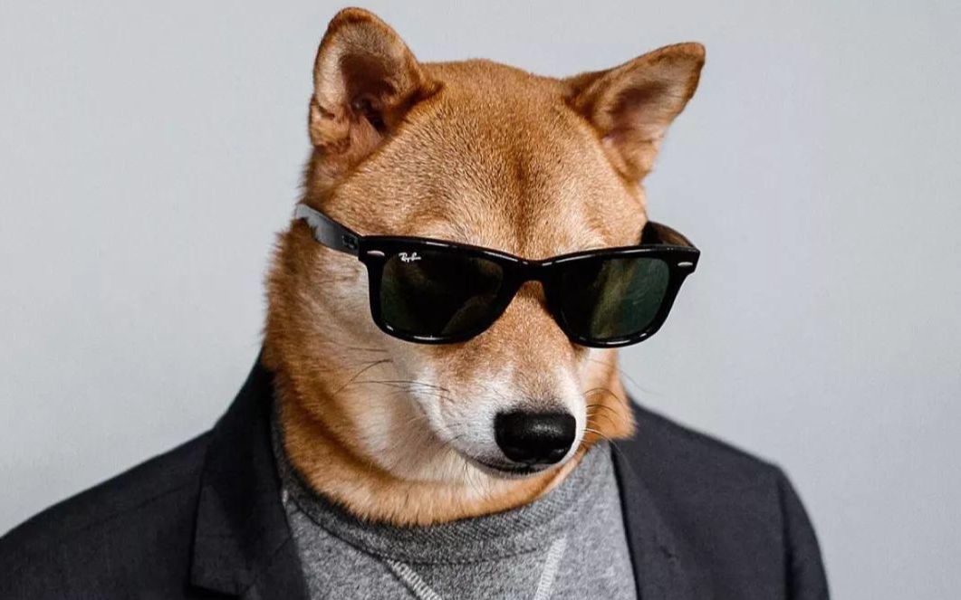 情侣们永远不会知道单身狗在朋友面前究竟有多难