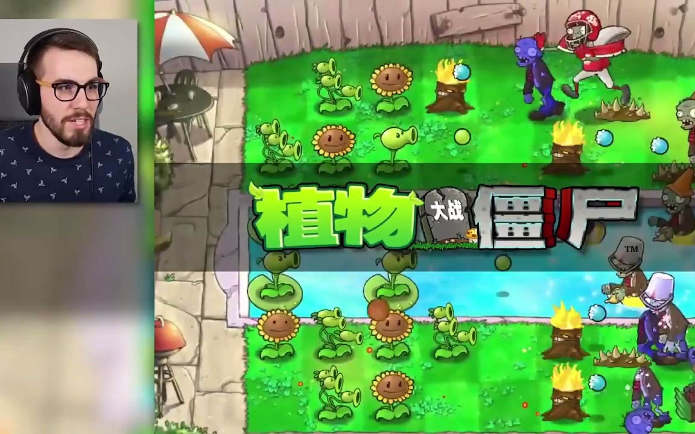 [图]【PVZ】当老外开始玩植物大战僵尸95版！（中配）