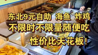 东北9元自助餐！海鱼 炸鸡不限时不限量随便吃，超级慈善！