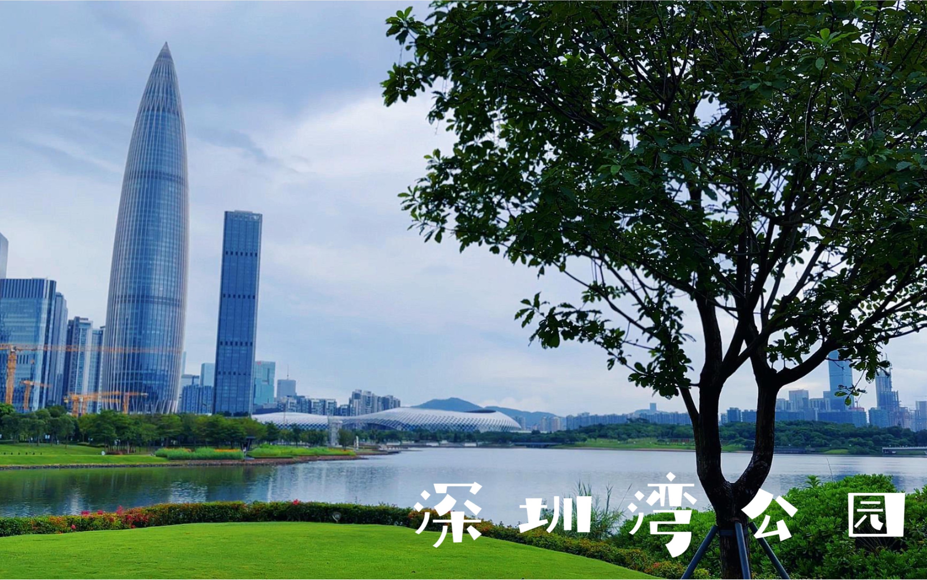 深圳湾公园:与海为伴,享受惬意时光