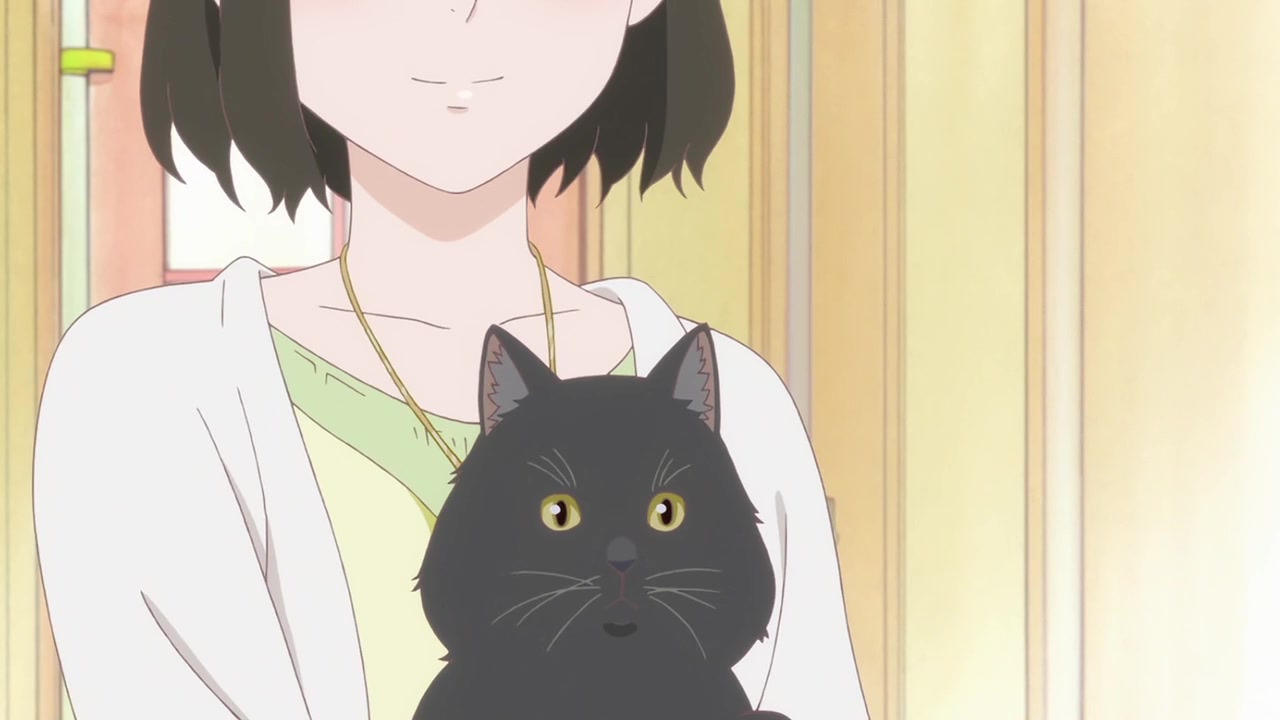 她和她的猫(自剪)
