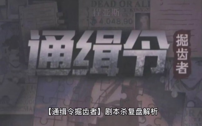 《通辑令掘齿者》剧本杀复盘解析测评桌游棋牌热门视频