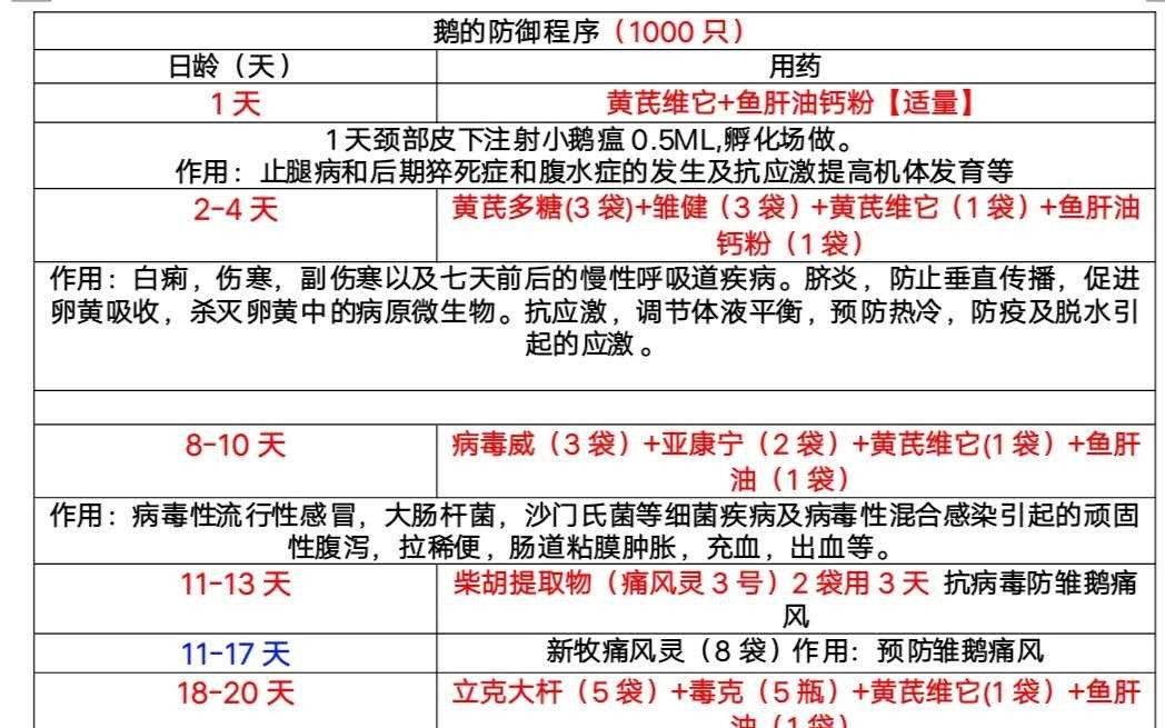 养鹅新技术新手养鹅怎么养殖技术142天养鹅大全 太详细了哔哩哔哩bilibili