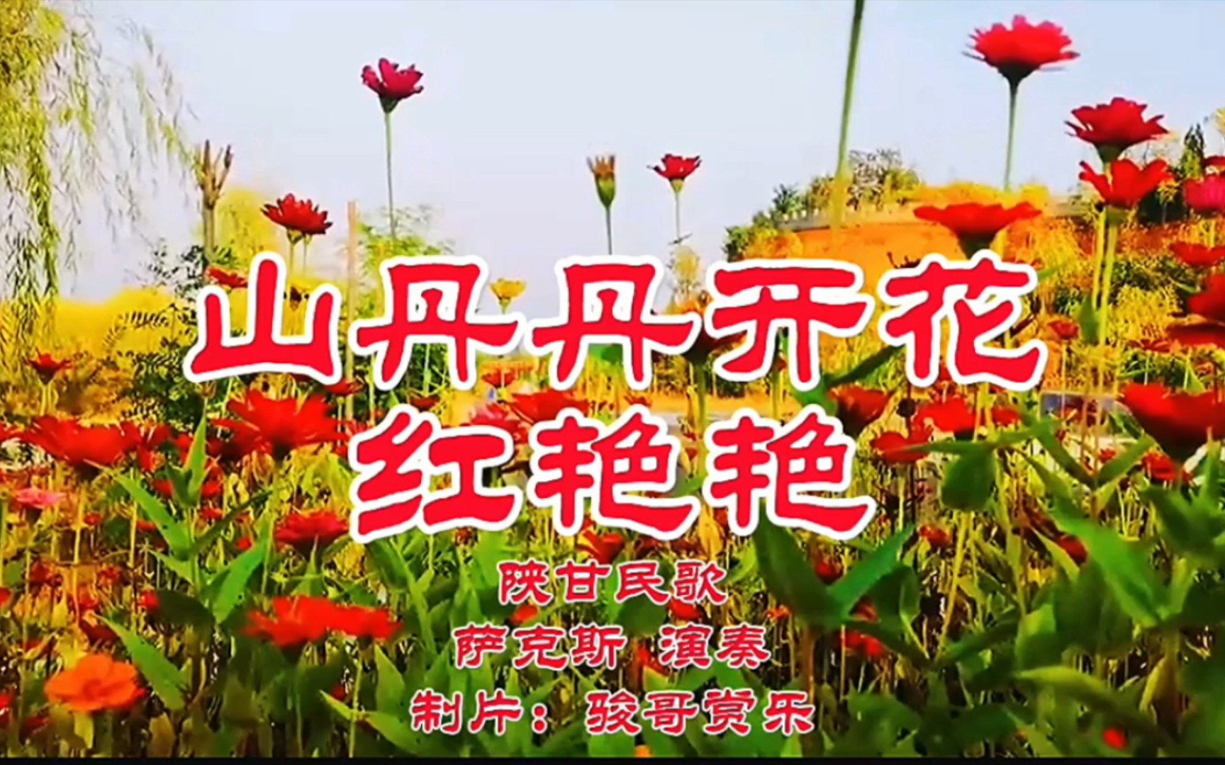萨克斯演奏的经典歌曲:《山丹丹开花红艳艳》,中央红军到陕北!