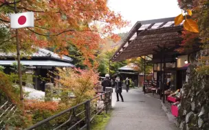 Download Video: 【超清】秋季漫步游日本京都大原｜宝泉院、胜林院、实光院、三千院、大原之里 拍摄日期：2022.11.16