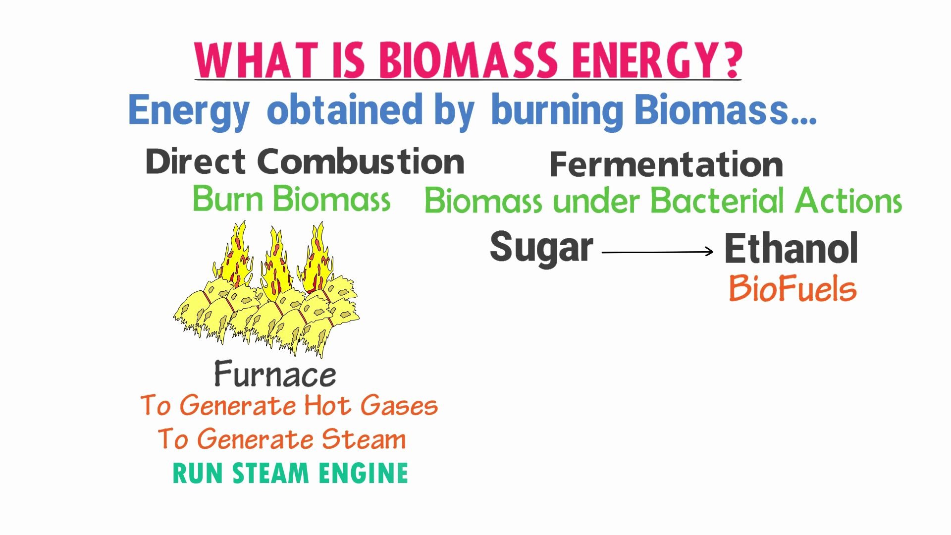 生物质/生物质能源 Biomass /Biomass Energy哔哩哔哩bilibili