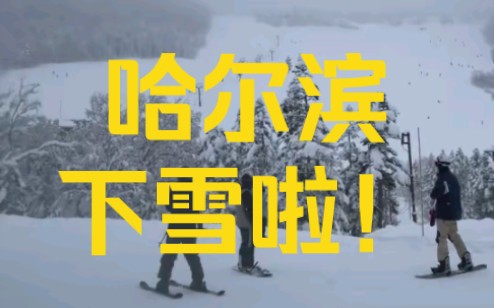 尔滨下雪啦!寒假跟着姐姐去看雪吧!哔哩哔哩bilibili