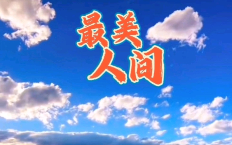 歌曲人间(歌曲人间有你秋裤大叔)