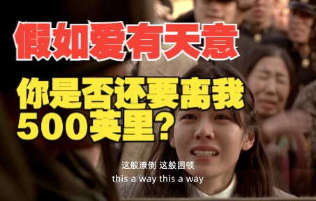 [图]《假如爱有天意》，你是否还要离我《500英里》？