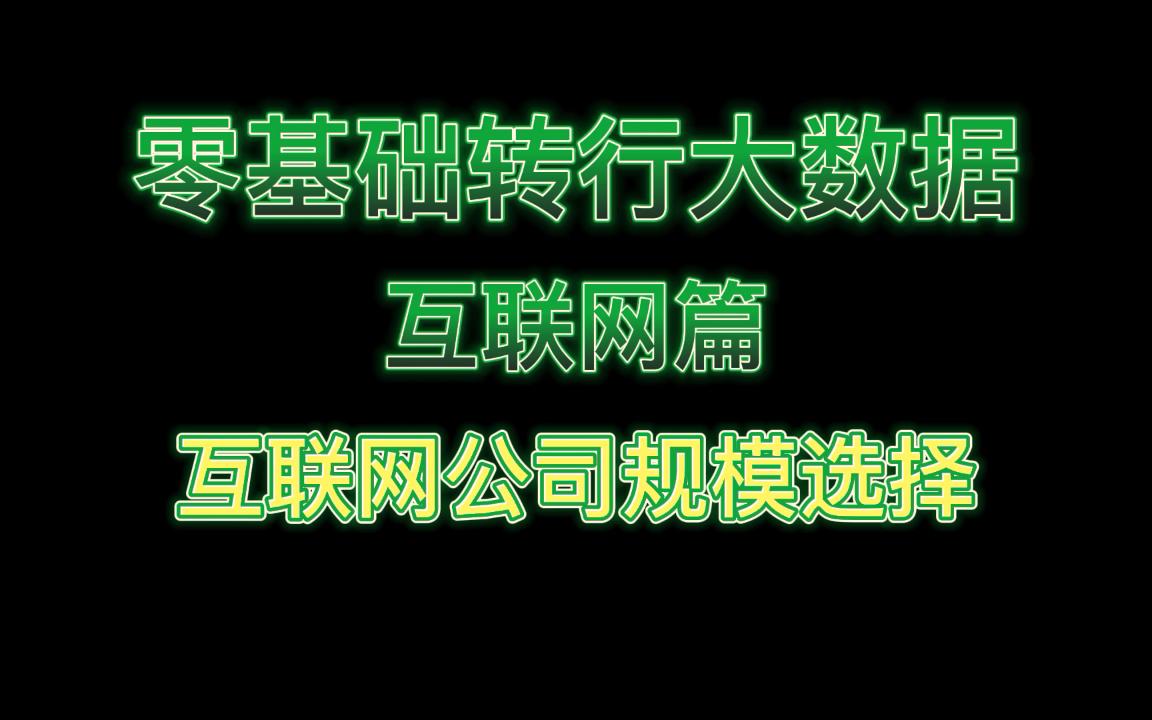 零基础转行大数据:互联网公司规模选择哔哩哔哩bilibili