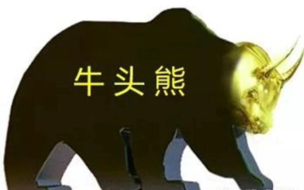 本轮熊市的根本原因