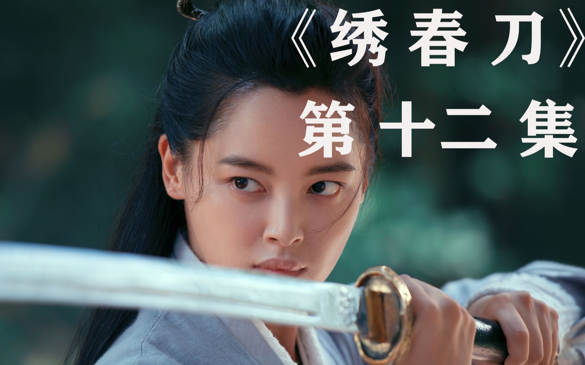 绣春刀螳螂腿马蜂腰飞鱼服绣春刀