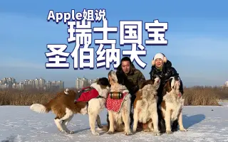 雪山犬王 搜索结果 哔哩哔哩 Bilibili