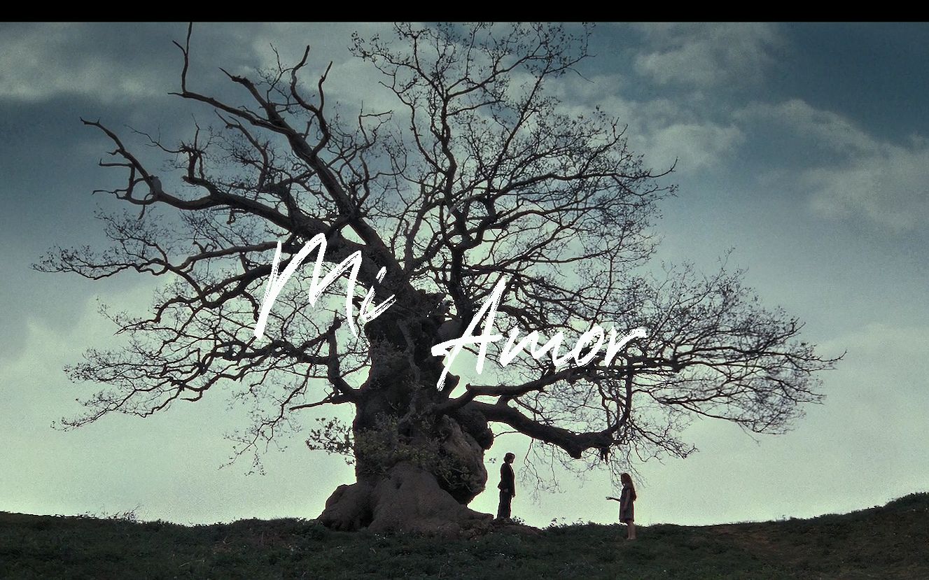 【欧美群像】mi amor|再见了,我的爱人_哔哩哔哩_bilibili