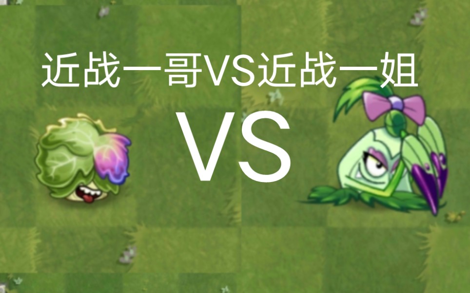 pvz2最新植物奶油生菜图片