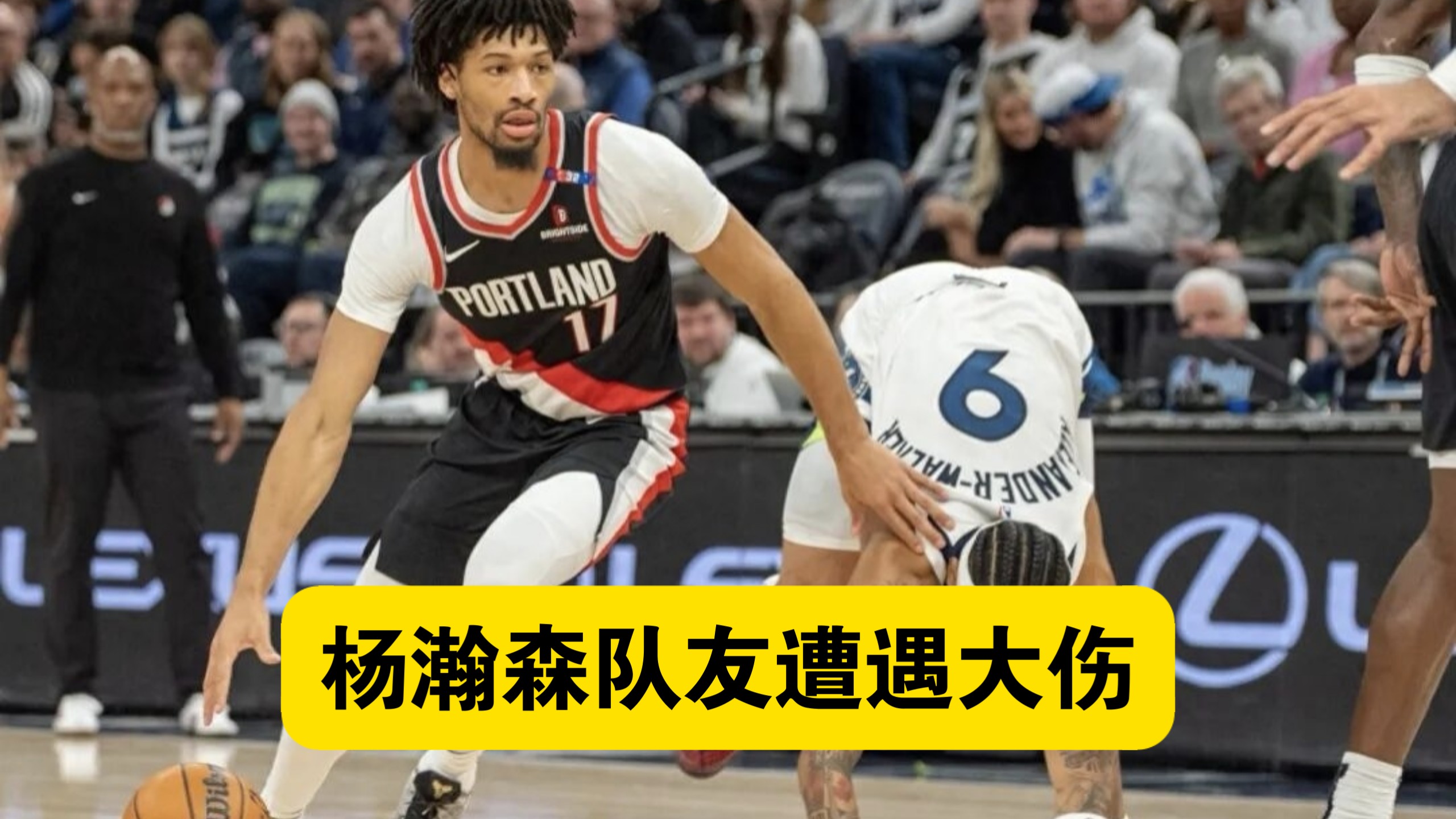 杨瀚森开拓者队友夏普遭遇大伤缺席六个月