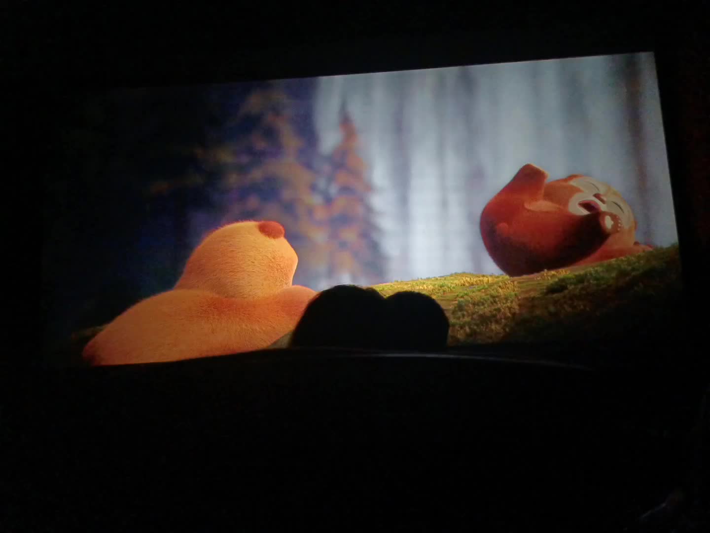 伴我熊芯针不戳