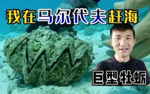 Download Video: 《环球探海记》马尔代夫 第10天：今天赶海竟然发现这里千手螺泛滥，马代人都不吃它的吗