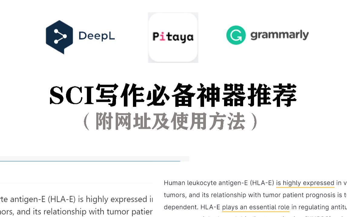 【科研写作必备神器】翻译DeepL→火龙果润色降重→Grammarly语法校正 |做实验室一匹孤独的狼哔哩哔哩bilibili