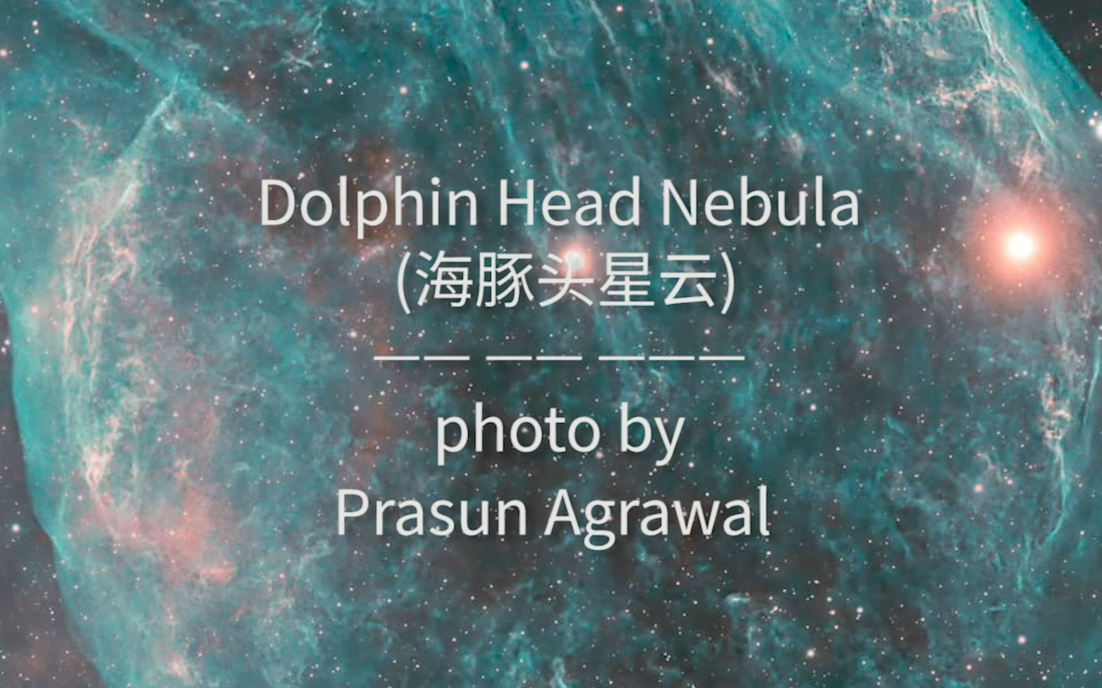 宇宙级可爱 海豚头星云哔哩哔哩bilibili