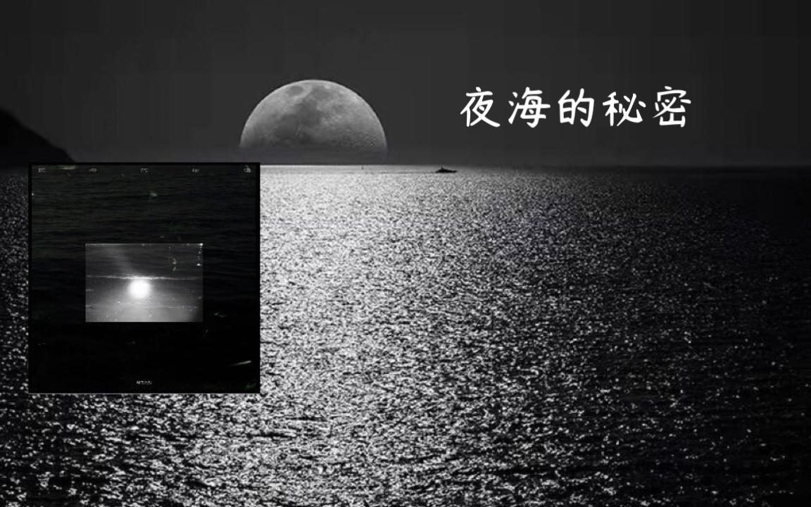 [图]日推歌单｜只是沉默望着，你一句未讲｜《夜海的秘密》