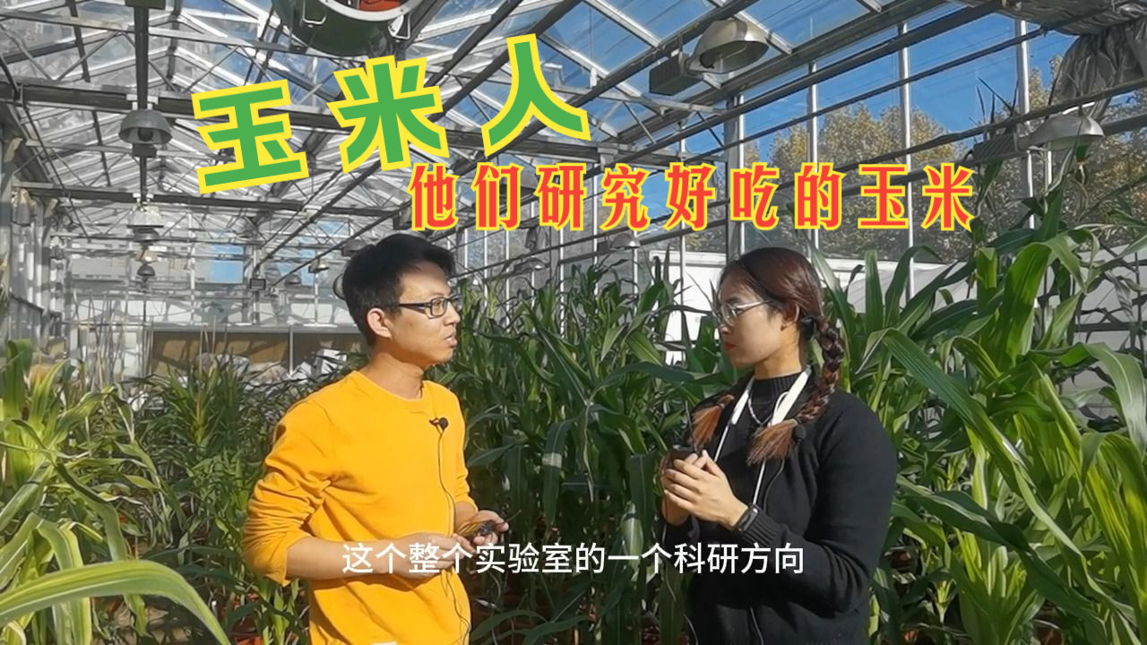 【一作面对面】Plant Physiology中国科学院遗传发育所陈化榜组臧杰哔哩哔哩bilibili